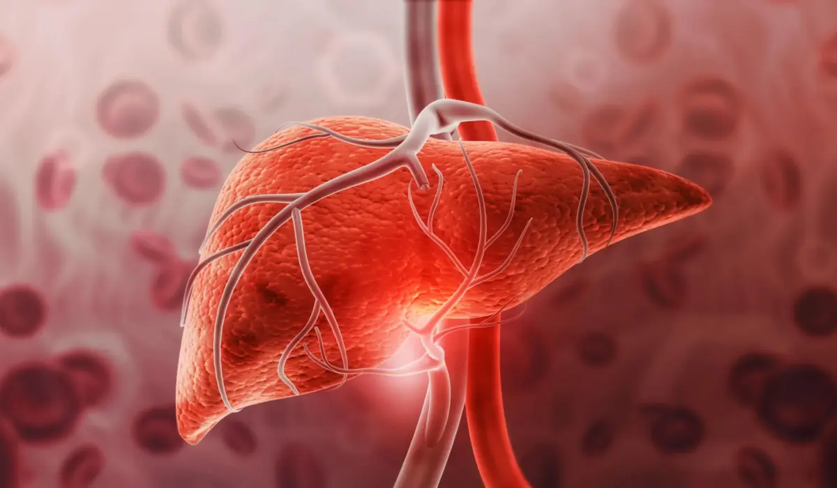 Breaking the Weight-Loss Paradigm: McMaster Researchers Uncover a Direct Brain-to-Liver Anti-Inflammatory Pathway for GDF15