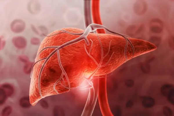 Breaking the Weight-Loss Paradigm: McMaster Researchers Uncover a Direct Brain-to-Liver Anti-Inflammatory Pathway for GDF15