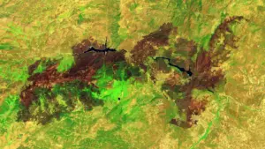 Europe’s Summer of Fire: Inside the Historic July 2026 Wildfires Across Spain and France