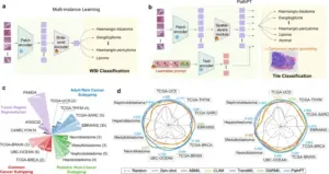 Executive Overview: A New Paradigm in Computational Pathology