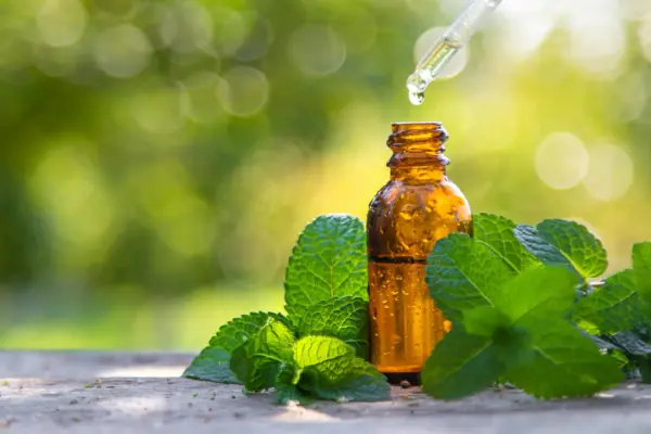 Natural Relief on the Horizon: Daily Peppermint Oil Supplementation Shown to Reduce Mildly Elevated Blood Pressure in Landmark Study