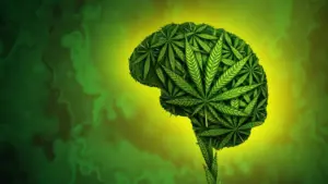 The Adolescent Brain on Cannabis: UC San Diego Study Links Teen Use to Slower Cognitive and Memory Development