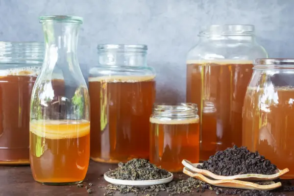 The Alchemy of Fermentation: How the Choice of Tea Rewrites the Chemistry and Character of Kombucha