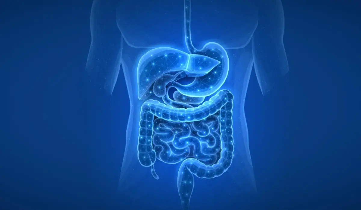 The Long Shadow of Pharma: Landmark Estonian Study Reveals Medications Leave Multi-Year Footprints on the Human Gut Microbiome