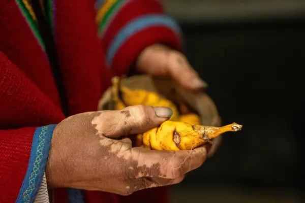 Tracing the Tuber: How Ancient Andean Potato Farming Rewrote the Human Genome