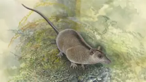 Unearthing Gondwana’s Ghosts: How a Newly Discovered Marsupial Order Rewrites Australian Evolutionary History